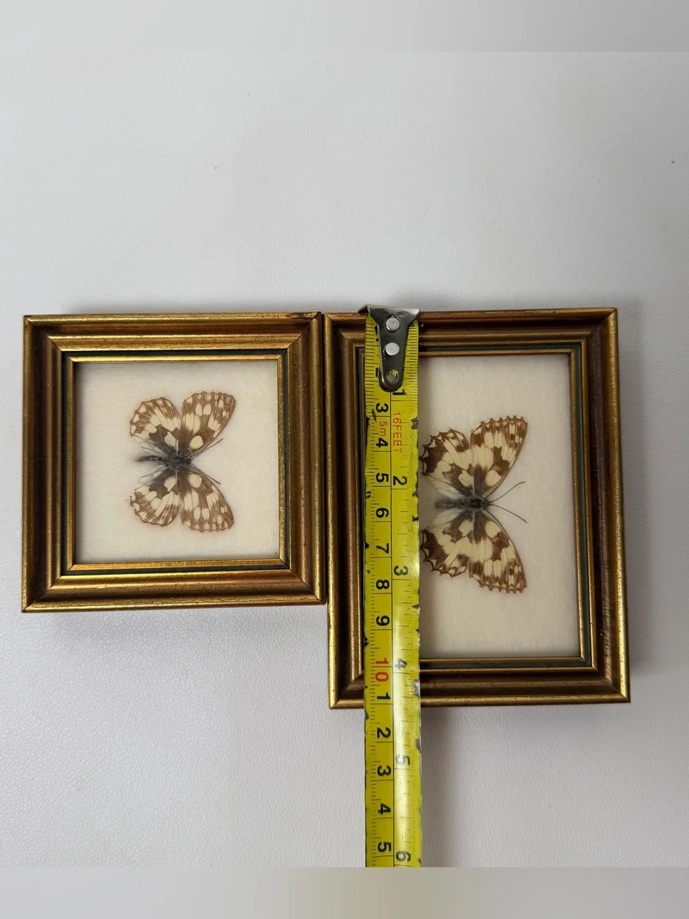 Marbled White Butterfly (Melanargia galathea) framed  2 pcs set Handmade Austria